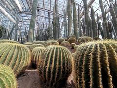 -南山植物园