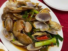 豉汁炒花甲-蛇口康乐快餐鱼仔档(翠苑小区店)