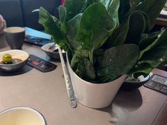 -同仁四季椰子鸡(无锡滨湖万象汇店)
