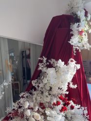 -ST时柒·问题肌抗衰美颜所