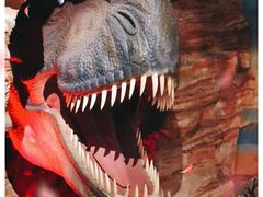 -正佳自然科学博物馆