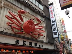 -蟹道乐(道顿堀本店)
