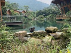 -杭州开元森泊度假乐园