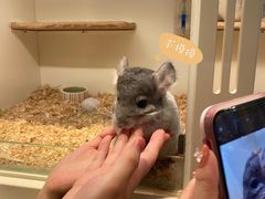 -龙猫仔乐园(惠福东路店)