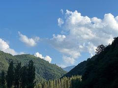 -万达影城(洛阳万达广场IMAX激光店)