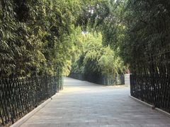-红螺寺