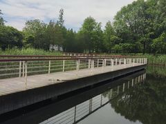 -同里国家湿地公园