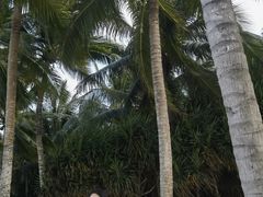 -三亚太阳湾柏悦酒店