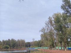 -东郊湿地公园
