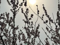 -白水寺森林公园