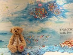 -济州岛泰迪熊博物馆