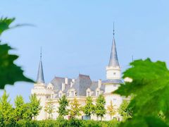 -北京张裕爱斐堡酒庄