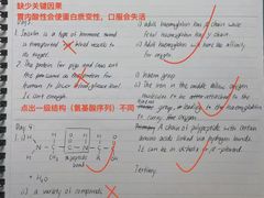 -JT PREP国际学科课程·IB·AP·Alevel(陆家嘴校区)