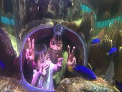 -暹罗海洋世界
