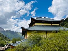 -黄龙山原始森林景区