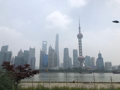 -北外滩滨江绿地