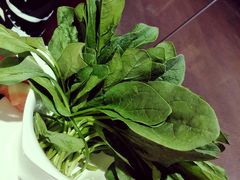 菠菜-渝利重庆火锅