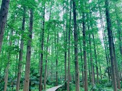 -上海怡沁园度假酒店