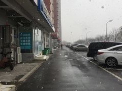 -北京派仕佳德动物医院·超导核磁·CT·神经科·骨科·内外科·急重症管理中心