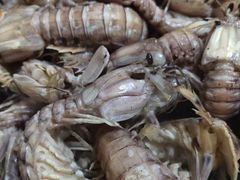 -晓梦戳子肉(瑞云路店)