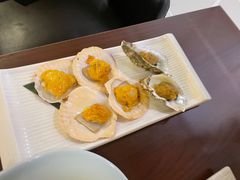 -黑松白鹿(崇文门新活馆店)