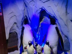 -太平洋海底世界