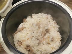 -大鸽饭(马王堆店)
