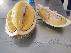 -都念榴莲·城市榴莲