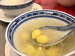 -大中鱼翅 Taitong Shark Fin