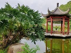 -广州神农草堂中医药博物馆