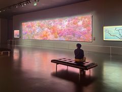 -罗红摄影艺术馆