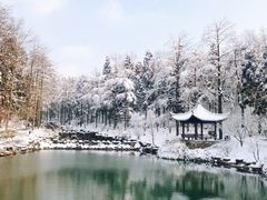 -溪口商量岗景区