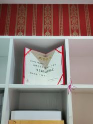 -OBN欧碧奴美容连锁