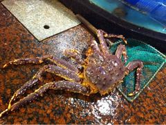 iphone_upload_pic-御同亨酒楼·喜宴