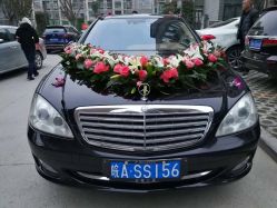 点击看大图 -蚂蚁婚车