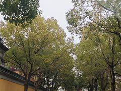 -凤城河风景区