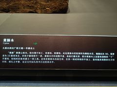 -北京大葆台遗址博物馆