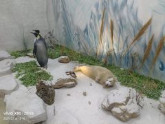 -西霞口神雕山野生动物世界