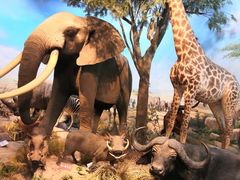 -陕西自然博物馆