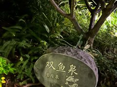 -清远熹乐谷温泉度假酒店