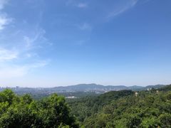 -火炉山森林公园