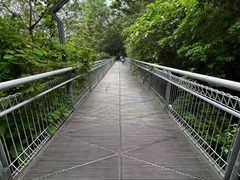 -佛山华盖山公园
