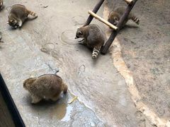 -杭州野生动物世界