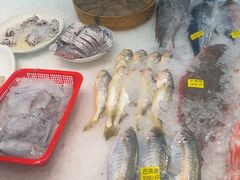 -小厨师·二十年沈家门小海鲜(百井坊巷店)