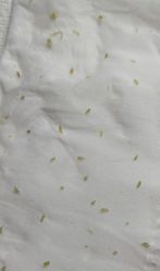 -痘院长·祛痘·科技美肤