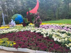 -沈阳植物园