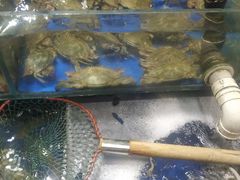 -香满居张记小厨私房菜(青岛站店)