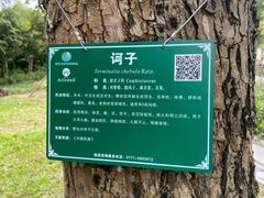 -广西壮族自治区药用植物园