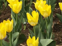 -长春公园(普阳街道)