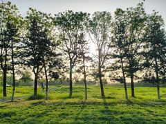 -汉长安城未央宫国家考古遗址公园